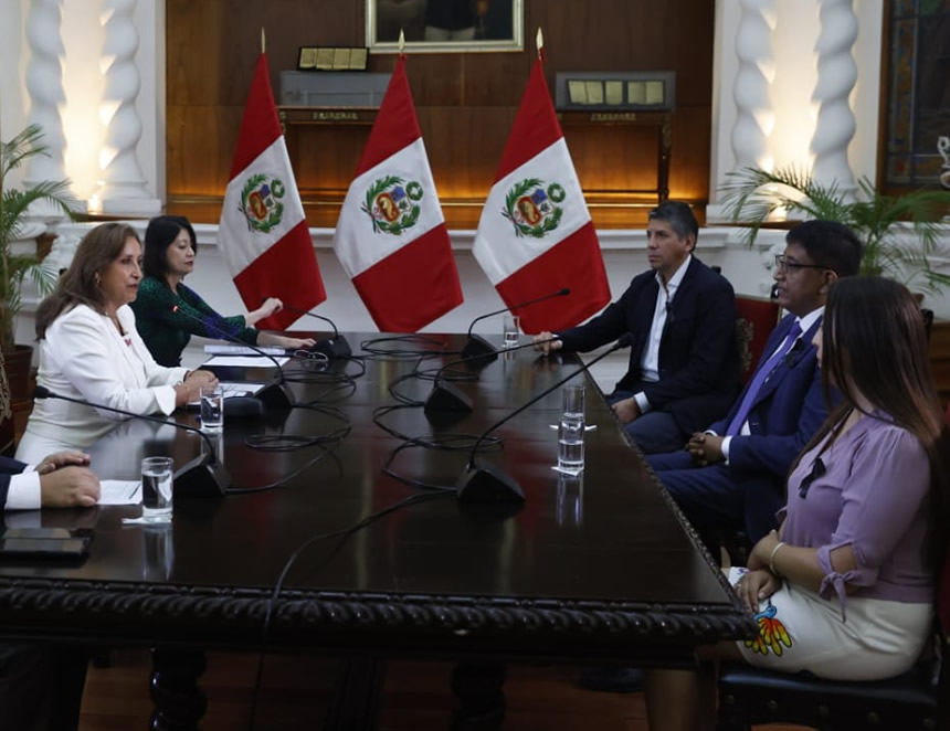 Dina Boluarte quiere que su declaración  en investigación por genocidio en manifestaciones sea virtual