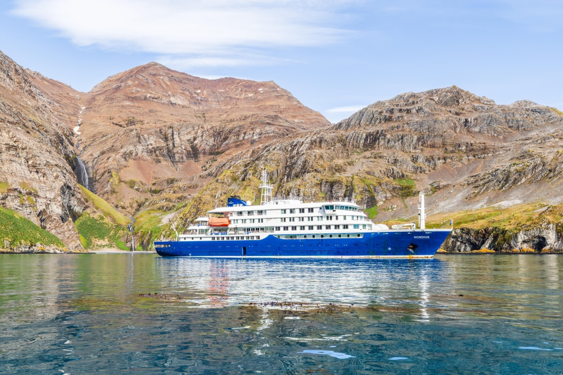 Hantavirus : Lo que se sabe del virus detectado en el Crucero MV Hondius y que provocó hasta hoy 3 muertes