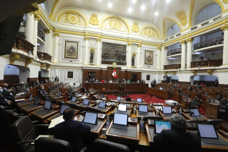 Pleno aprobó por insistencia ley  que, según el Ejecutivo, “desnaturaliza” el procedimiento relativo al referéndum