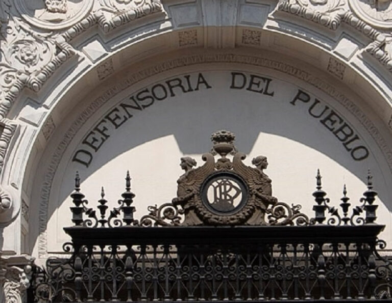 Defensoría del Pueblo: “El derecho a la protesta puede ser ejercido “aun en estado de emergencia”