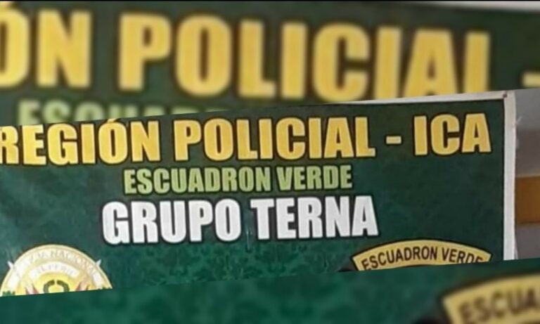 Ica: Capturan a supuesto traficante de droga