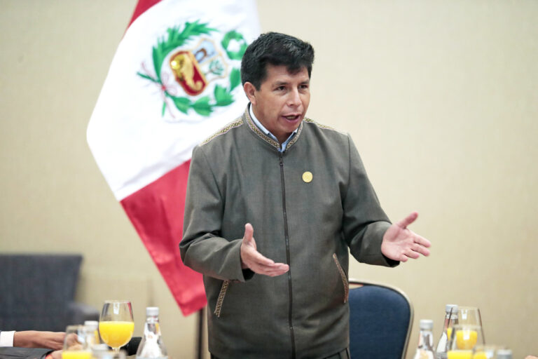 Pedro Castillo confirma que concurrirá al Congreso el próximo martes 15