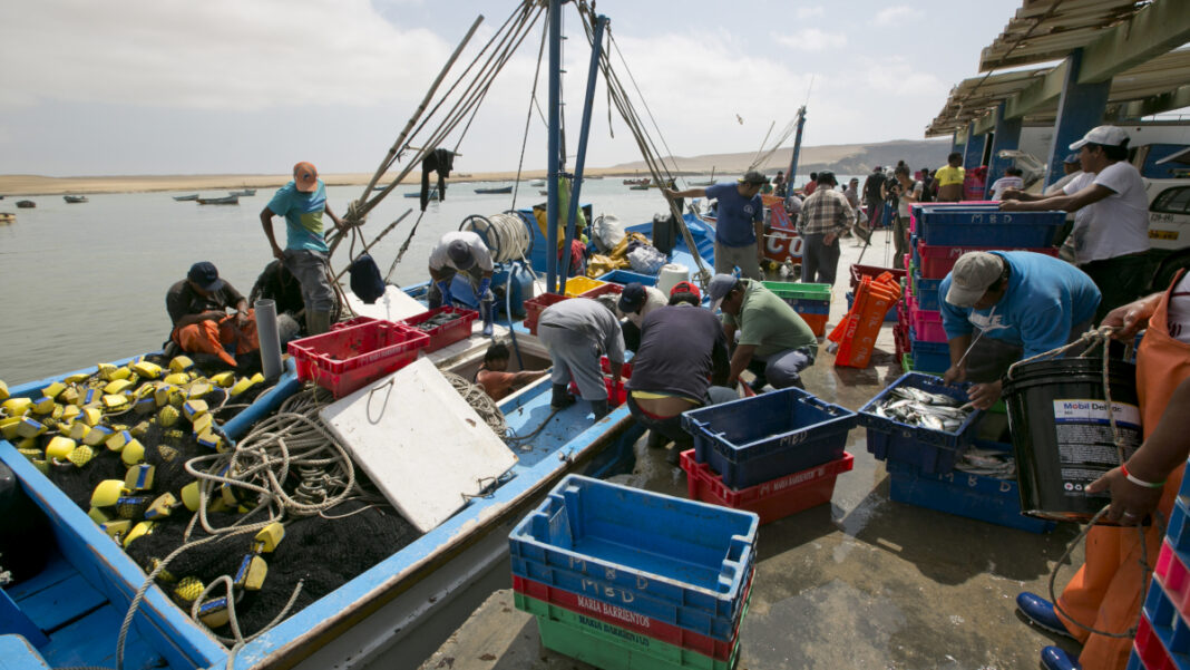 En 32,48% se redujo la producción del sector Pesca (Foto: Facebook).