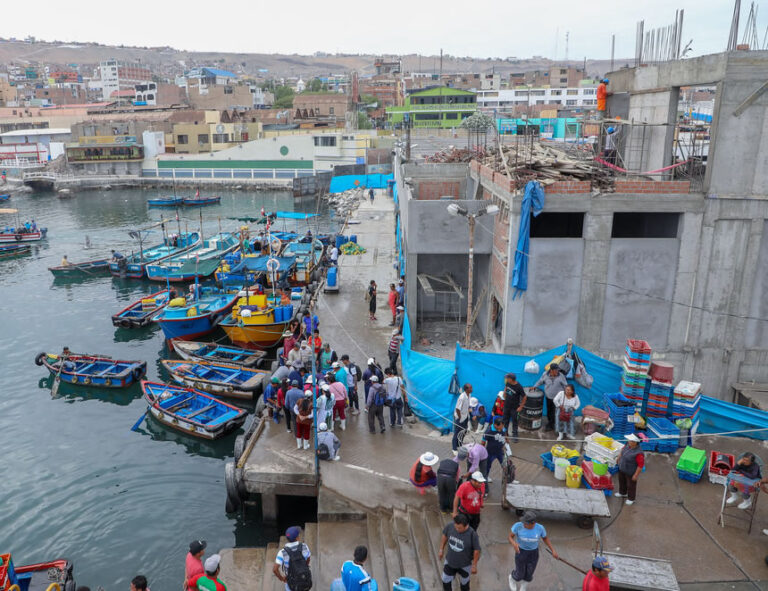 Pesca y acuicultura: ¿Por qué el Gobierno declaró en emergencia por 120 días estos subsectores?