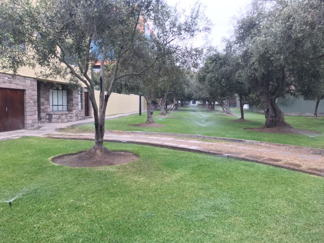 Parque El Olivar (Foto: Francisco Laudauro)