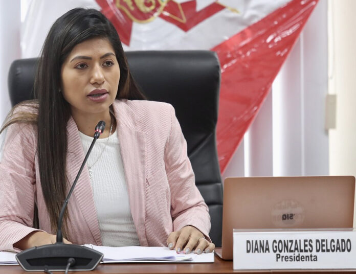 Congresista Diana Gonzales (Foto: Congreso de la República).
