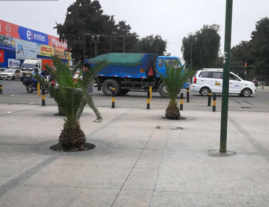 Avenida Argentina: establecen carriles exclusivos para el transporte de carga