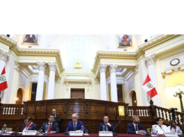 Constitución postergó la discusión hasta agosto del proyecto de adelanto de las elecciones (Foto: Congreso de la República).