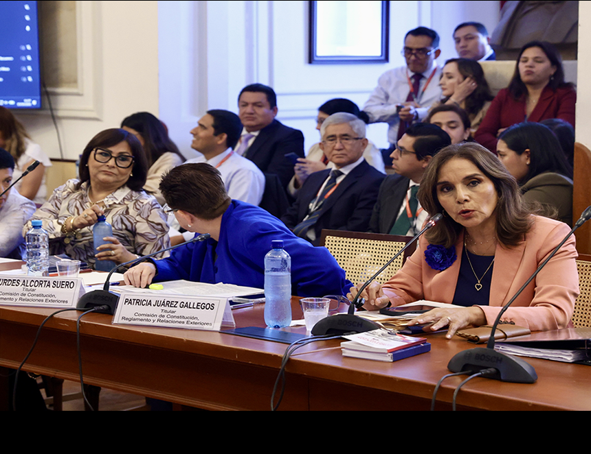 Sesión vespertina de la Comisión de Constitución del Senado con presencia del oficialismo y su aliado de Renovación Popular.