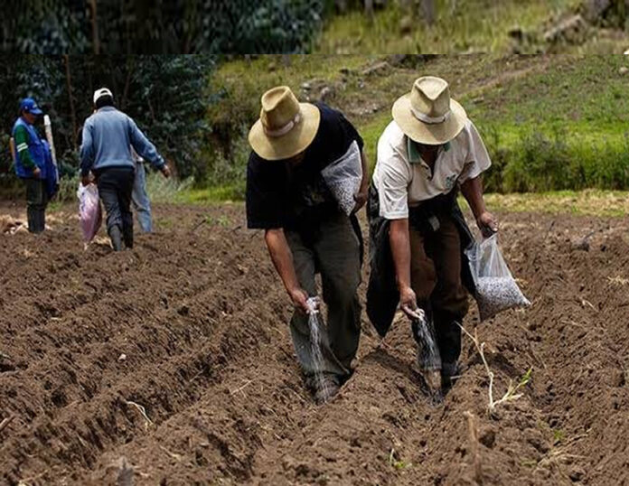 Agro Rural determinó cancelar la orden de compra otorgada a una empresa panameña (Foto: Agro Rural).