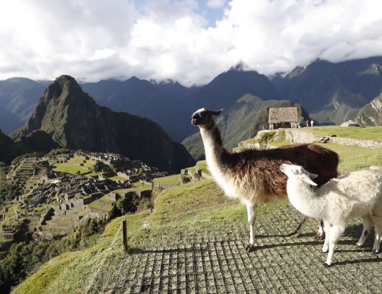 Machupichu y Kuelap: estas son las tarifas para los visitantes a la ambos complejos durante 2025
