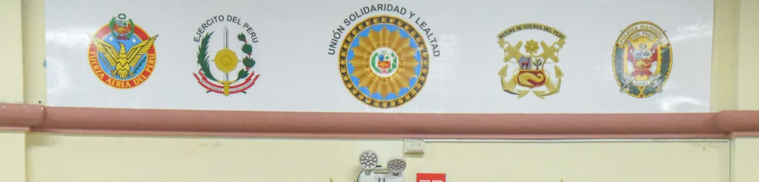 Militares en retiro piden al JNE que evalúe medidas extraordinarias .
