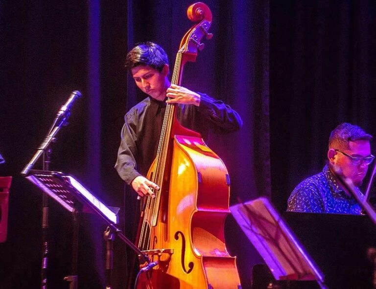 Artistas del Perú: presentan proyecto para crear colegio profesional
