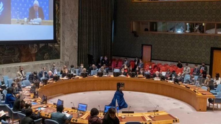 Ucrania: Asamblea General y el Consejo de Seguridad piden el fin del conflicto