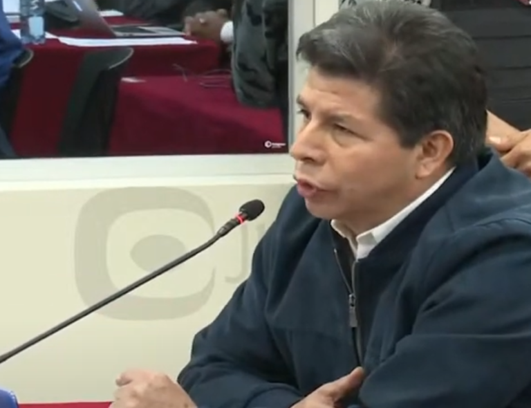 Pedro Castillo adelanta presentación de denuncia constitucional contra jueza Norma Carbajal