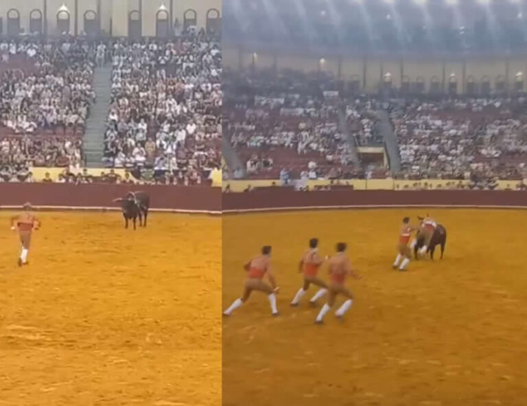 Tauromaquia trágica: toro de 700 kilos mata a torero de 22 tras lanzarlo contra las tablas del ruedo  [video]