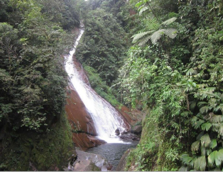 Velo de la novia: deslizamiento de piedras mata a adulto de 71 y a niña de 8 que disfrutaban de aguas de catarata