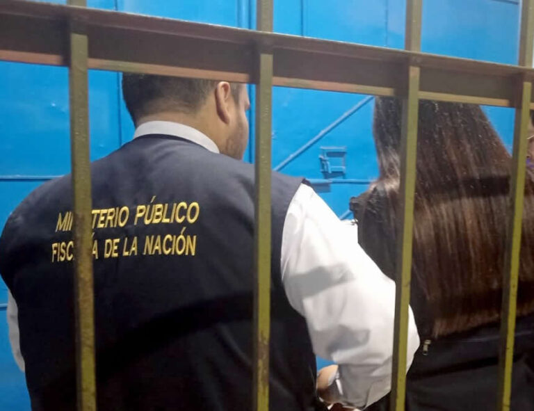 Detención preliminar: Ejecutivo observa ley que restituye la vigencia de esta figura en caso de no flagrancia
